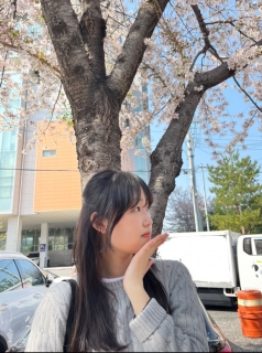 홍길동